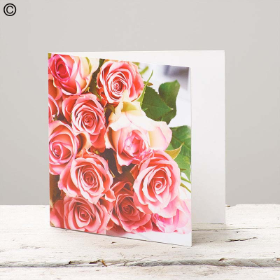 Greetings Card, Pink Roses (Image only, no text) - Greetings Card, Pink Roses (Image only, no text)