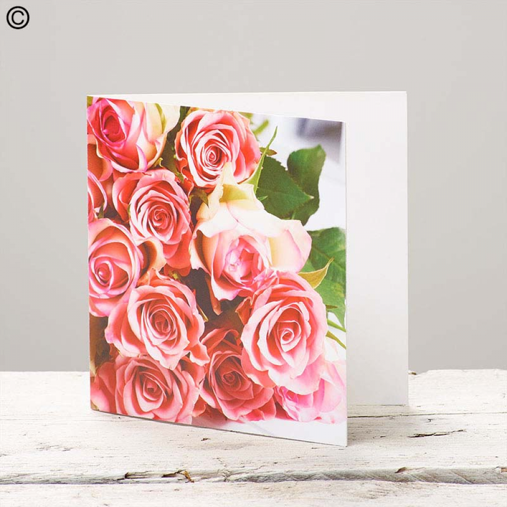 Greetings Card, Pink Roses (Image only, no text)