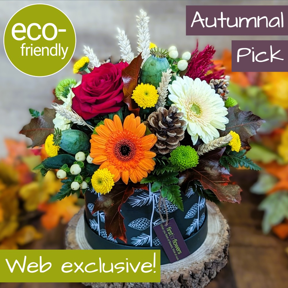 Autumnal Hat Box, Eco-Friendly