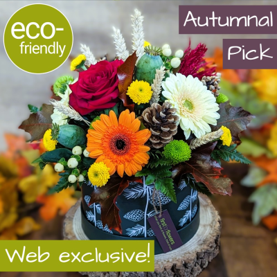 Autumnal Hat Box | Eco-Friendly Florist Choice Flowers | Cockerton - Get the best value with our Florist Choice Autumnal Hat Box. A unique, eco-friendly design in an FSC-certified box. Web Exclusive. Order for same-day delivery in Darlington