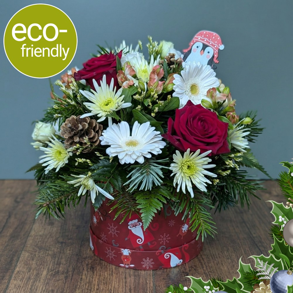 Eco-Santa, Baby! Hat Box