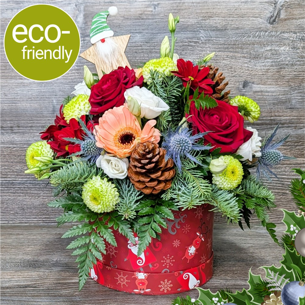 Eco-Santa, Baby! Hat Box Arrangement