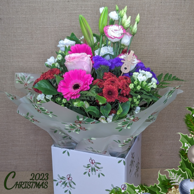 Step Into Christmas Product Image