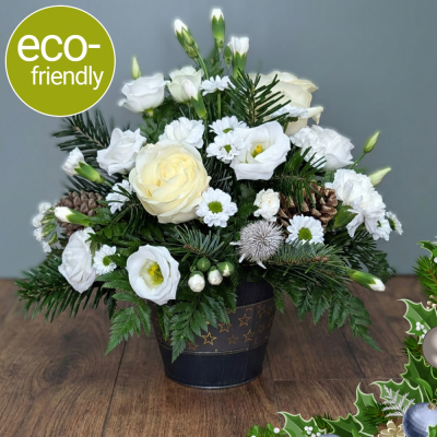 Let It Snow - Festive White Flower Arrangement | Darlington Delivery - Send festive magic with our 'Let It Snow' arrangement. Fresh white blooms & spruce in a reusable starry blue pot. Eco-friendly & handmade in Darlington.