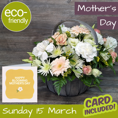 Pretty Pastel Trug Basket Product Image